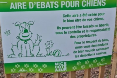 Nice, ville de cœur 🐕‍🦺🦮